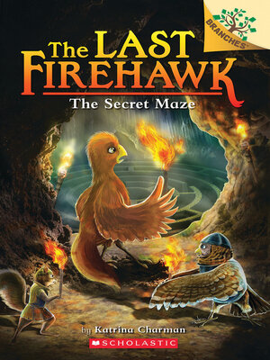 cover image of The Secret Maze